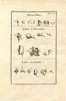  no thumbnail available