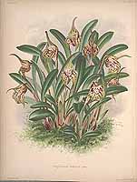  no thumbnail available