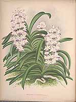  no thumbnail available