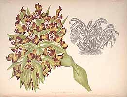  no thumbnail available