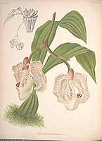  no thumbnail available