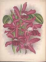  no thumbnail available