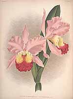  no thumbnail available