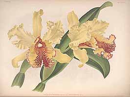  no thumbnail available