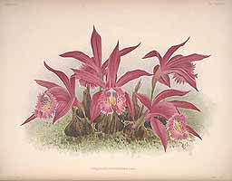  no thumbnail available