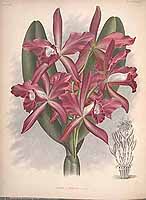  no thumbnail available