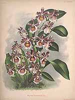  no thumbnail available