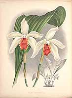  no thumbnail available