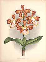  no thumbnail available