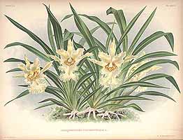  no thumbnail available