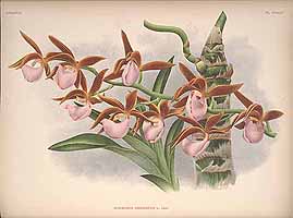  no thumbnail available