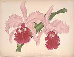  no thumbnail available