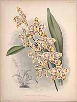  no thumbnail available