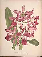  no thumbnail available