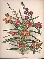  no thumbnail available