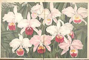  no thumbnail available