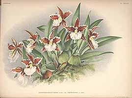  no thumbnail available