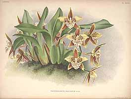  no thumbnail available