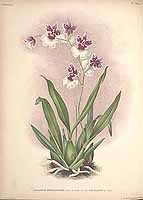  no thumbnail available