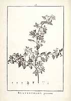  no thumbnail available