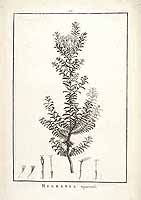  no thumbnail available