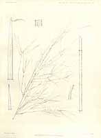  no thumbnail available