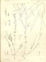  no thumbnail available