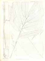  no thumbnail available