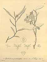  no thumbnail available