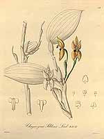  no thumbnail available