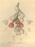  no thumbnail available