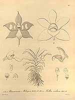  no thumbnail available