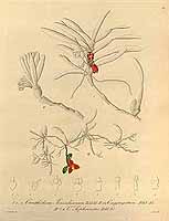  no thumbnail available