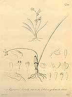  no thumbnail available