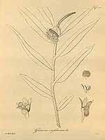  no thumbnail available