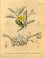  no thumbnail available