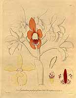  no thumbnail available