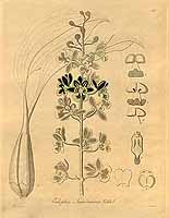  no thumbnail available