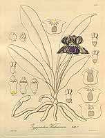  no thumbnail available