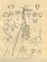  no thumbnail available