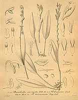  no thumbnail available