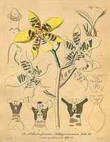  no thumbnail available