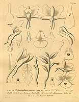  no thumbnail available