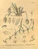  no thumbnail available