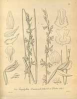  no thumbnail available