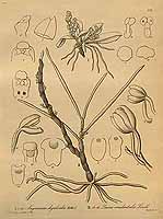  no thumbnail available