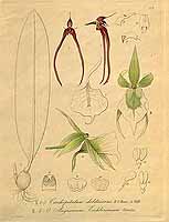  no thumbnail available