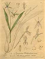  no thumbnail available