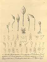  no thumbnail available