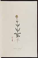  no thumbnail available